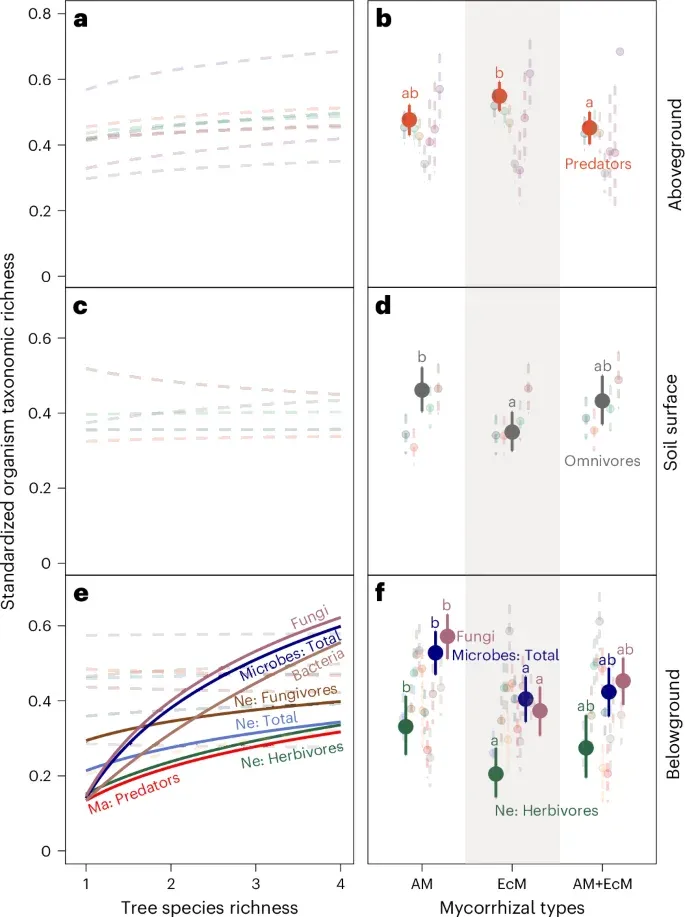 Plots of tree diversity and mycorrhizal-type effects on organism richness in the MyDiv experiment