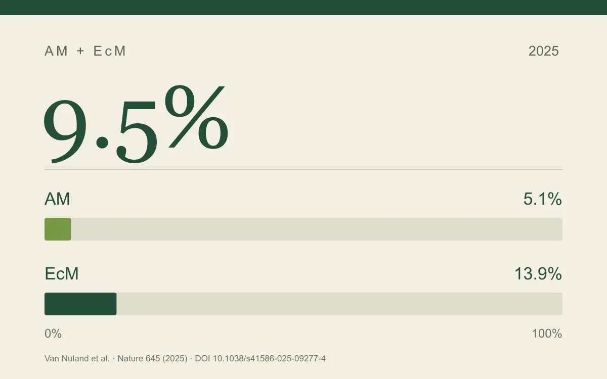 Protected share of predicted fungal richness hotspot area: 5.1% AM and 13.9% EcM