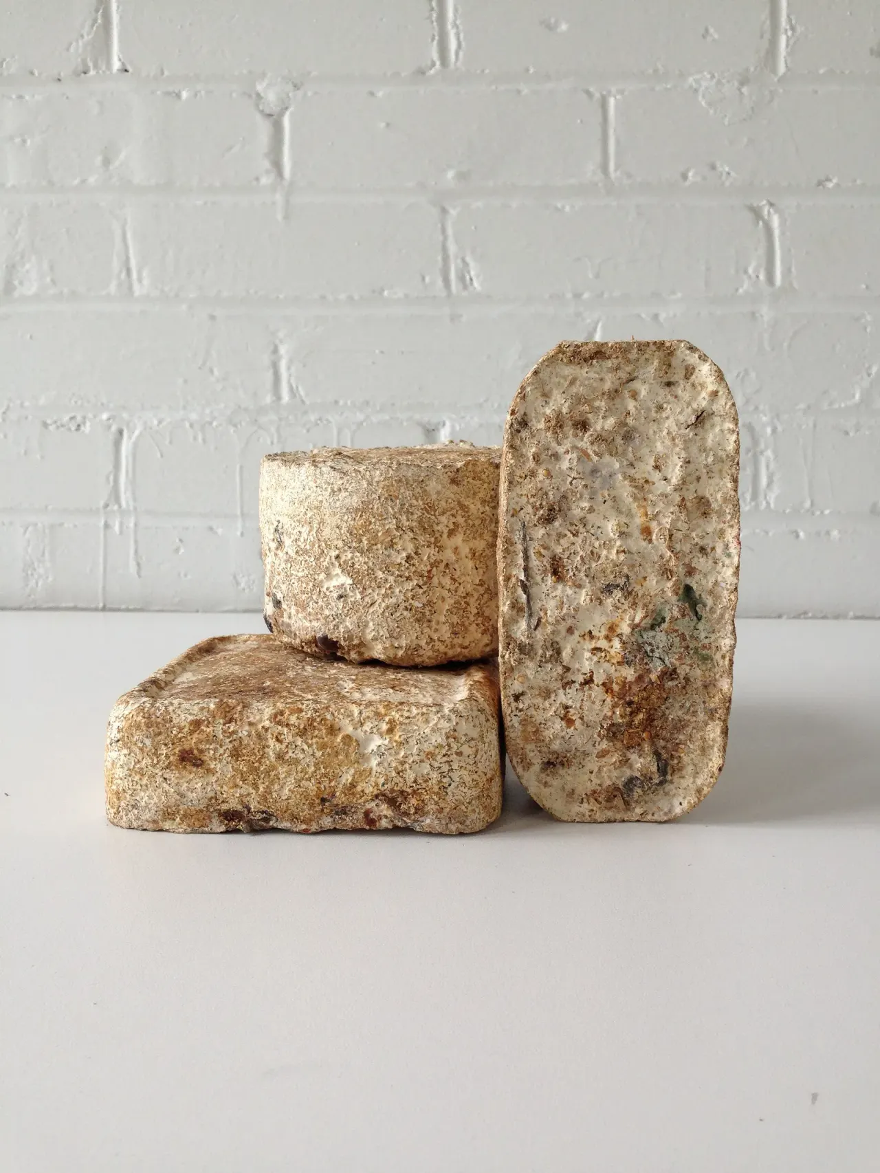 Mycelium materials: between culture and product