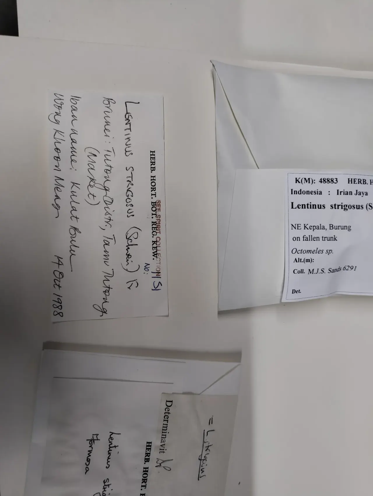 A digital specimen saves the record, not the fungus