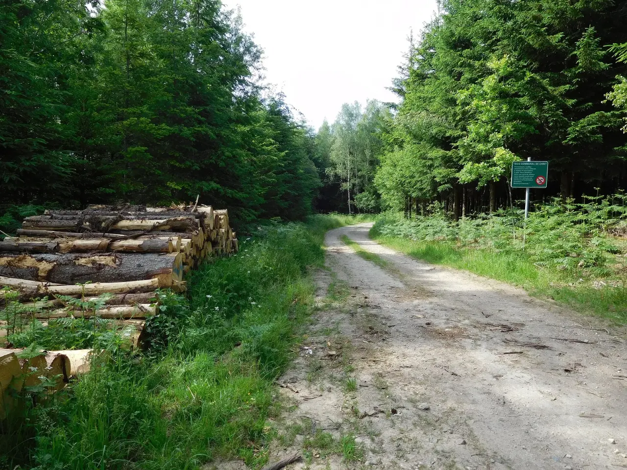 Wallonia: a ten-litre bucket and the owner's consent