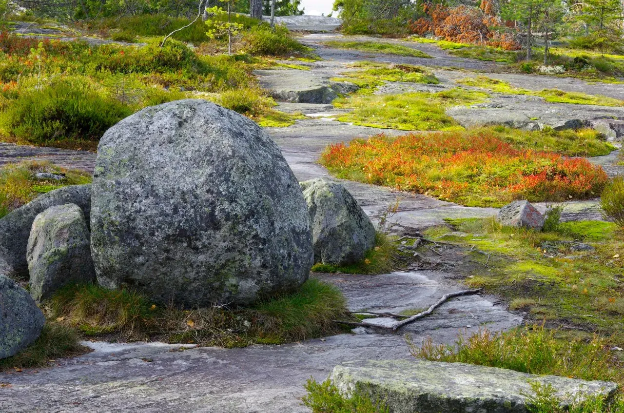 Koli: autumn over Pielinen, not a race for a basket