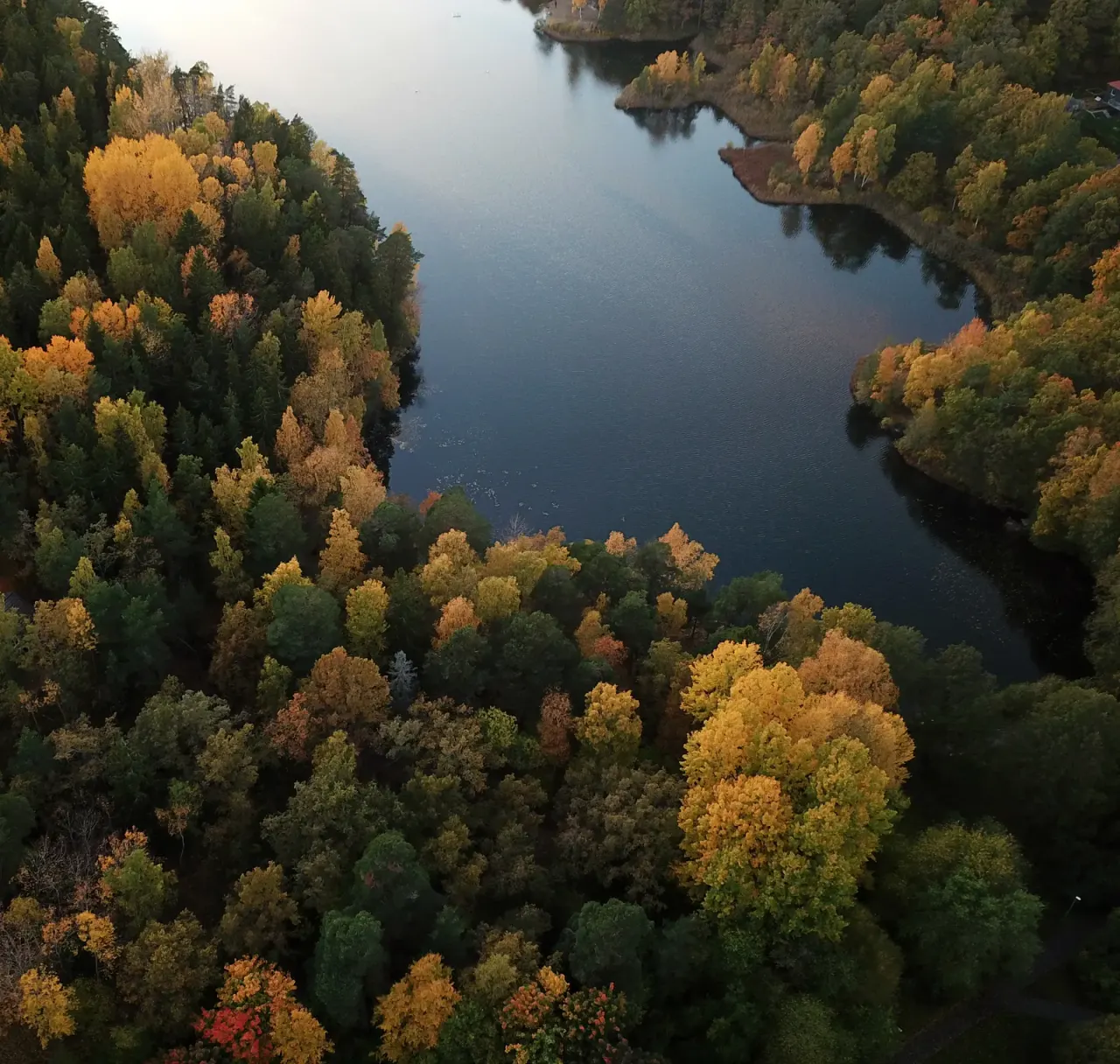 Sweden: allemansrätten and forest gold