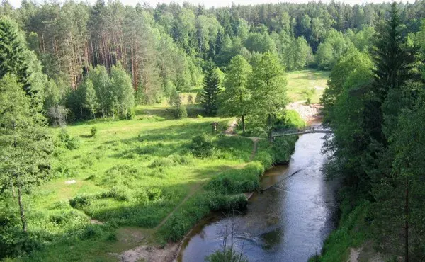 Lithuania: picking in a land of sandy pine forests
