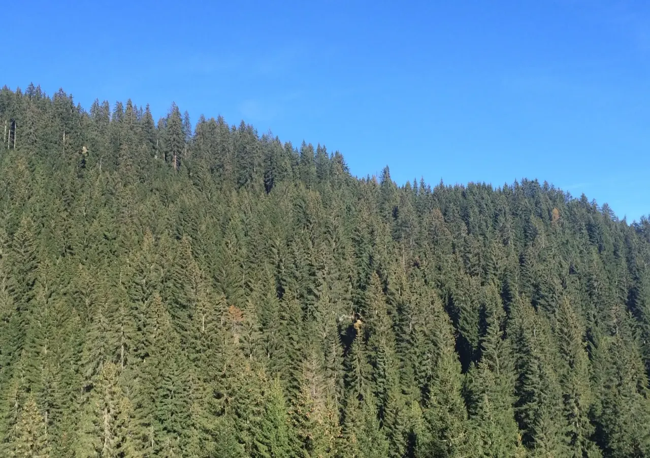 Grisons: two kilos, and ten days off each month