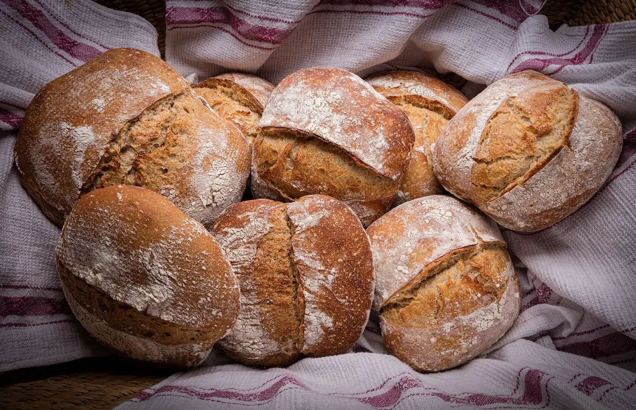Flour and feeding schedule shape the sourdough microbiome