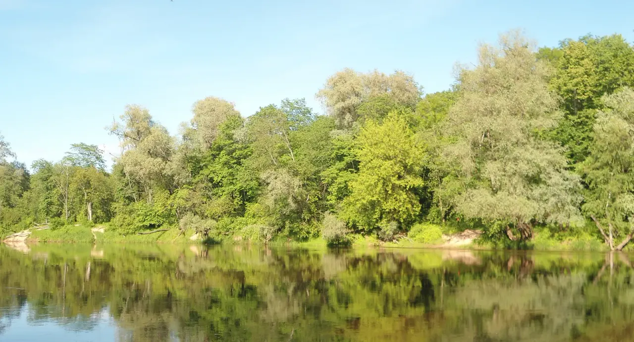 Gauja: a fungal journey down a Latvian river