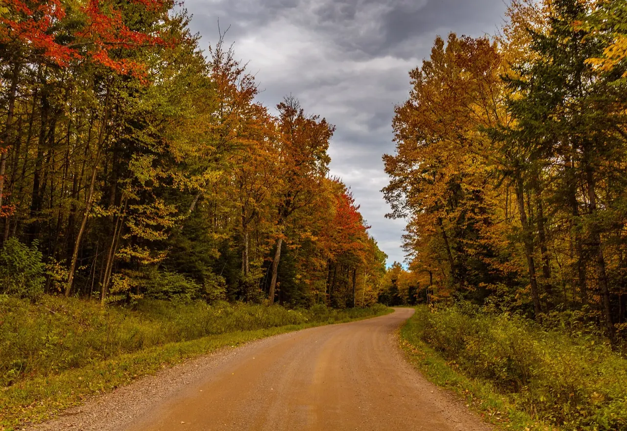 The 2026 NAMA annual foray in the Upper Peninsula