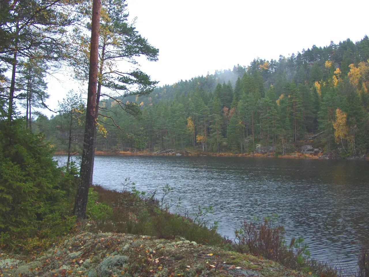 Dalsland: Sweden's right of access in practice
