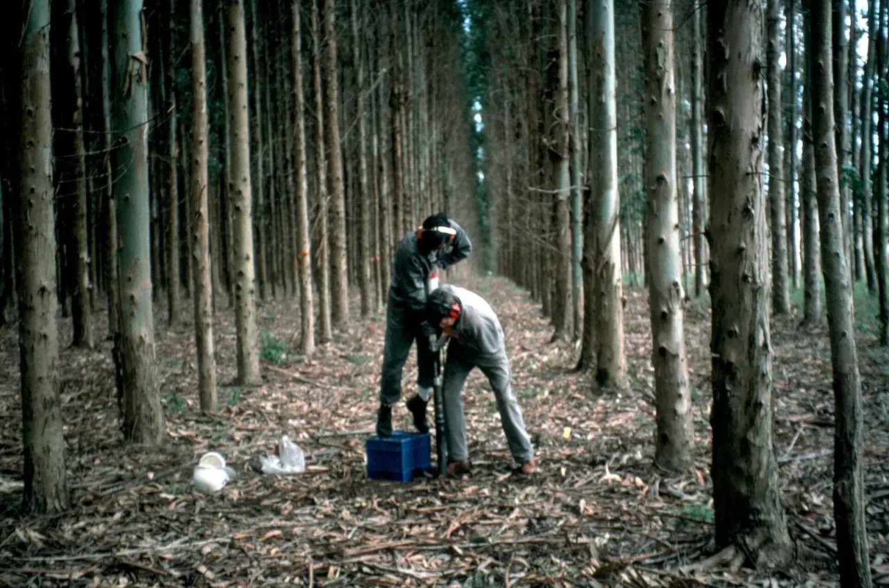 Fungal richness does not track plant richness