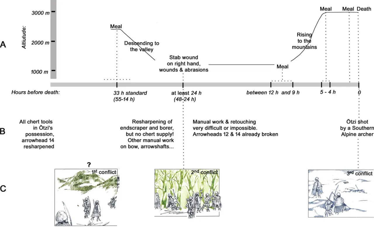Cold-adapted yeasts are colonising the Iceman’s body