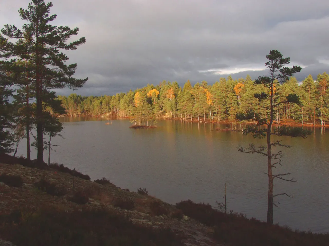 Dalsland: Sweden's right of access in practice