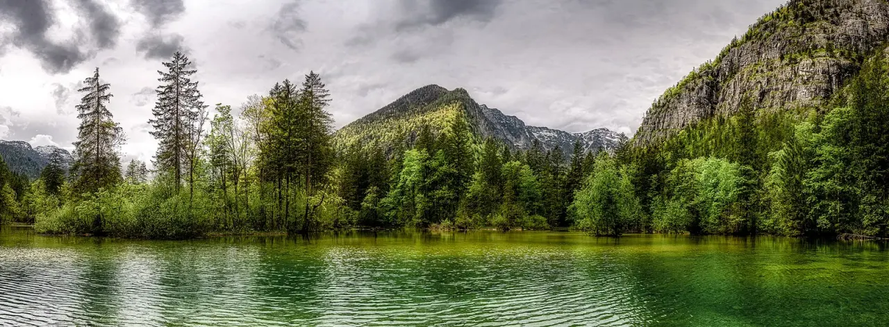 Salzkammergut: the mushroom belongs to the owner