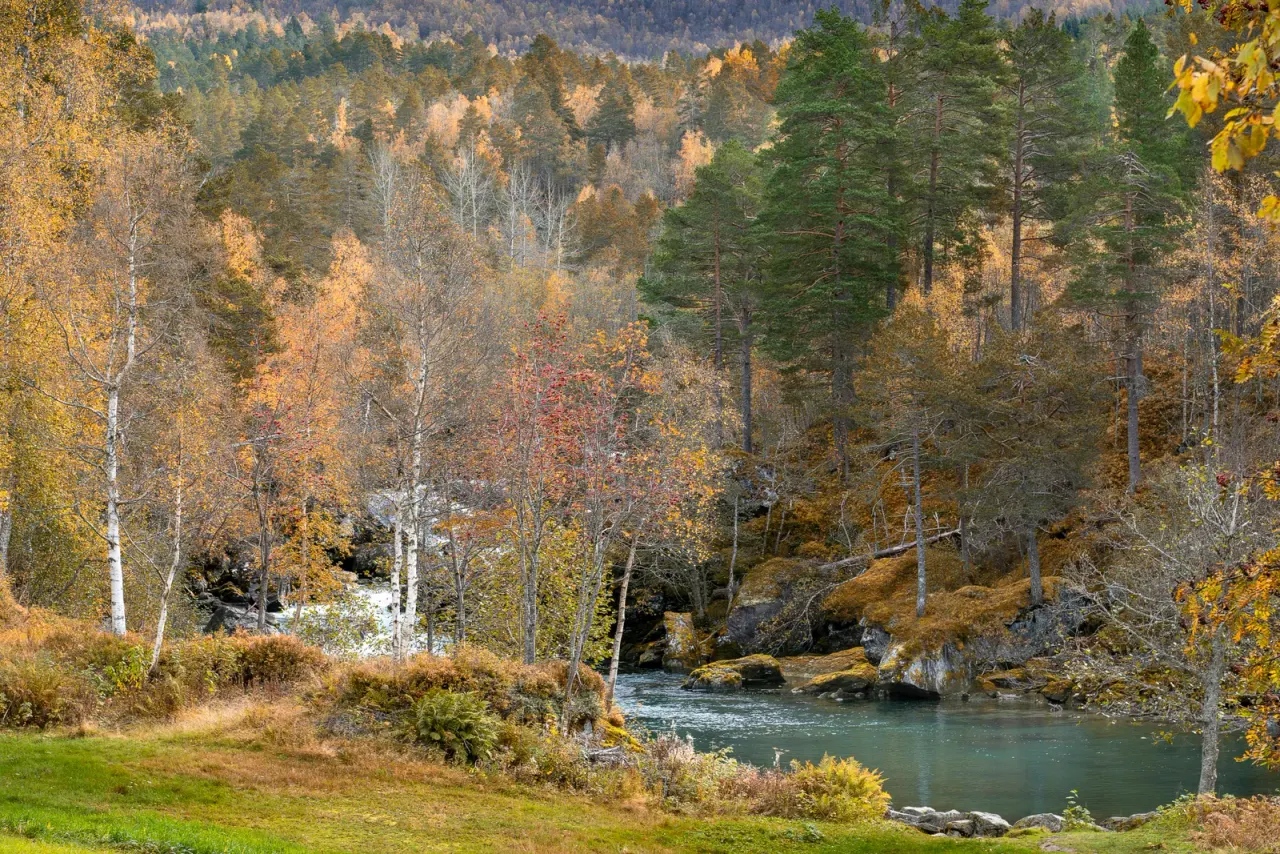 Norway: the right to roam and to gather