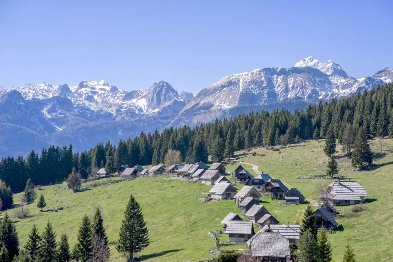 Pokljuka: a mushroom walk, not a race to a limit