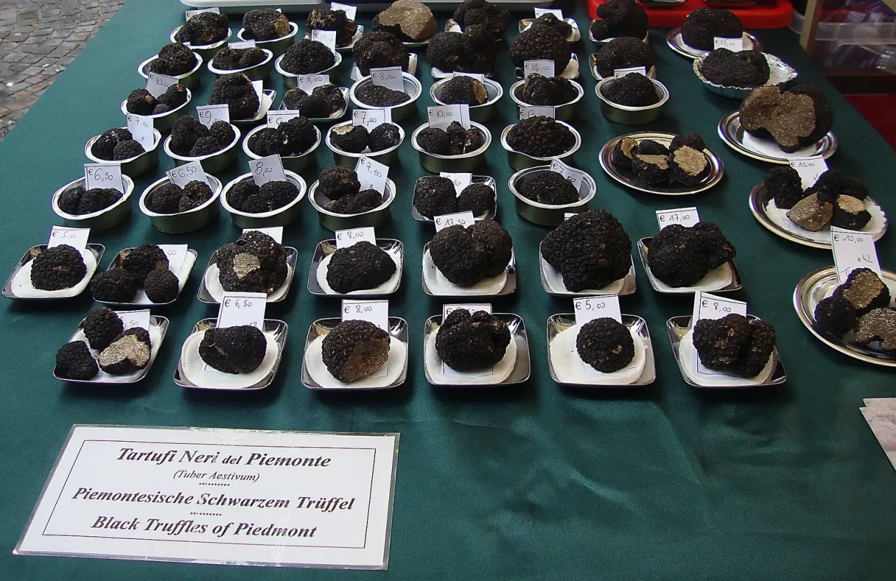 The auction where a truffle costs as much as a car