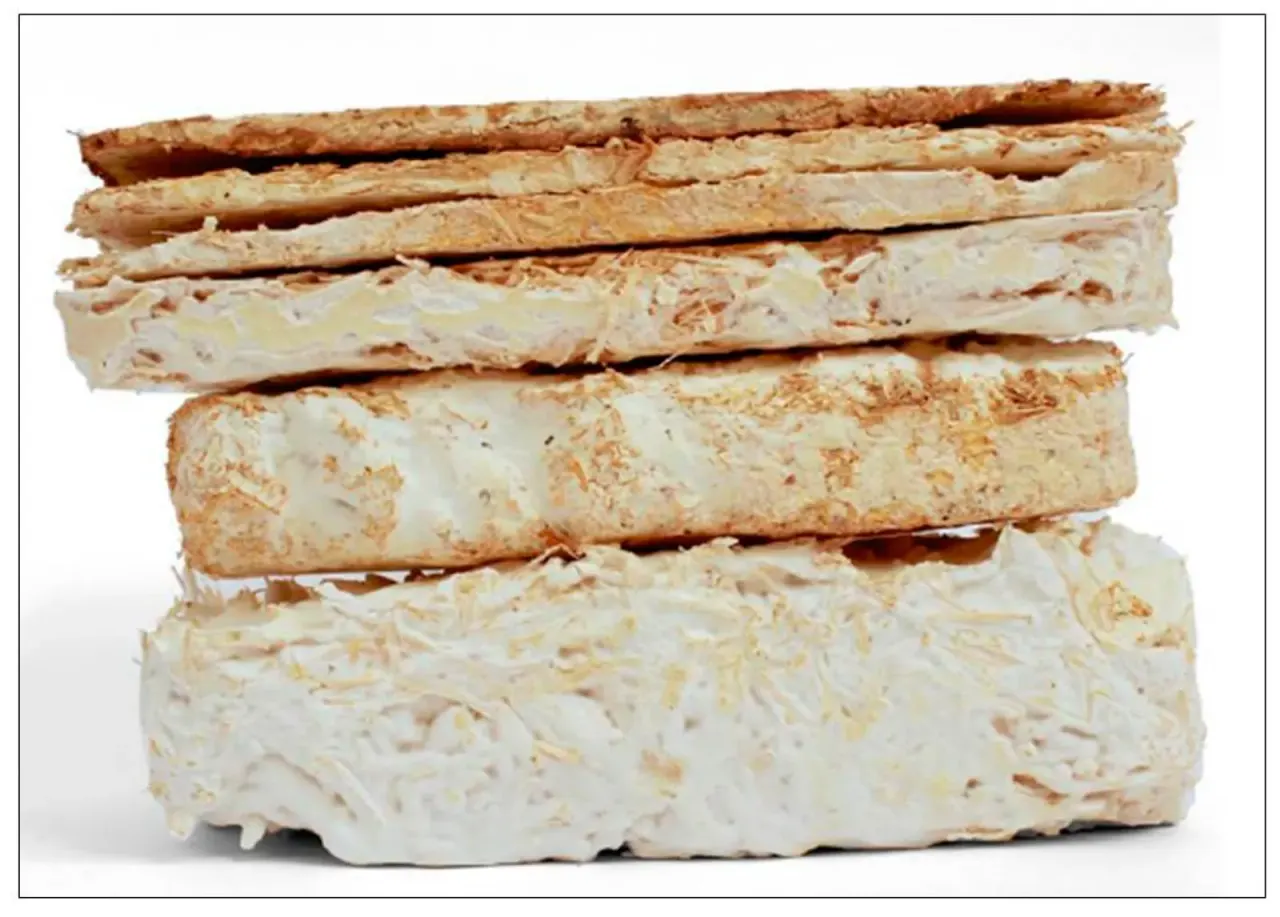 Mycelium materials: between culture and product