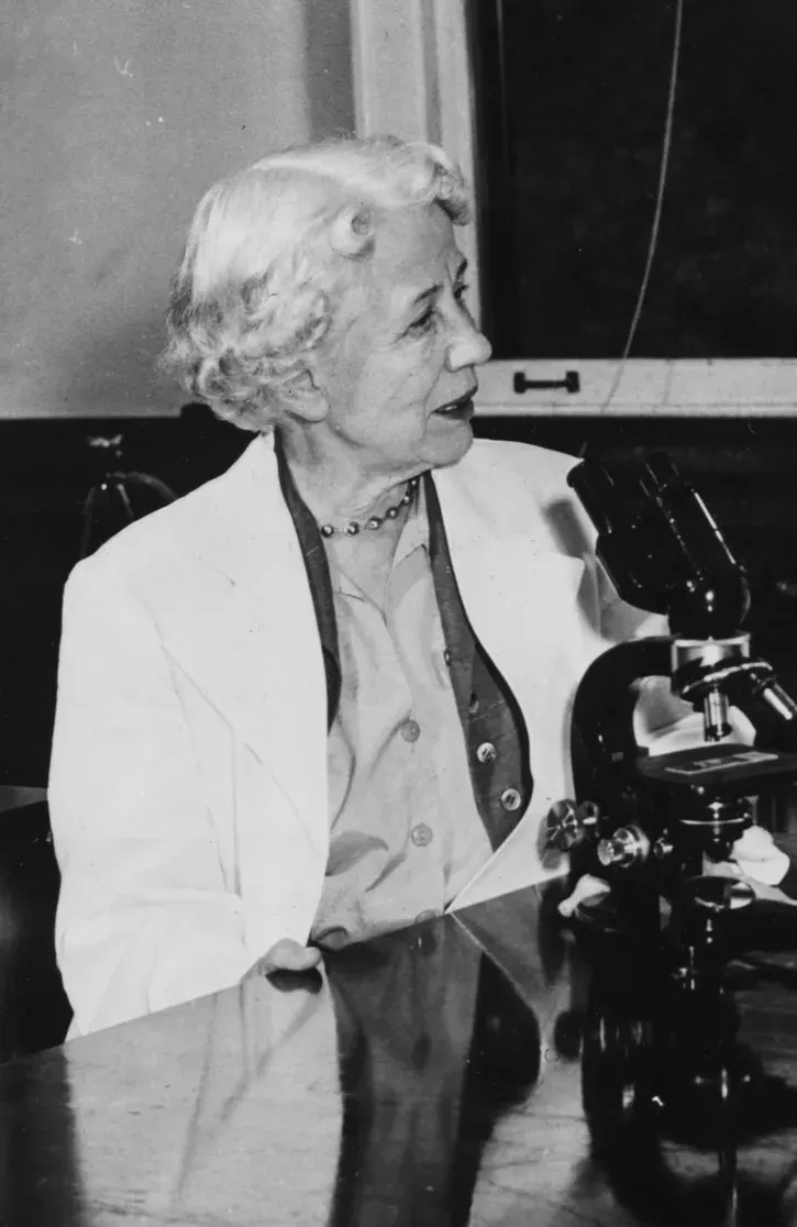 Elizabeth Lee Hazen